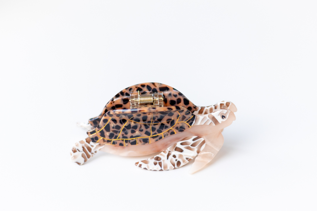 Brown Sea Turtle - Image 2
