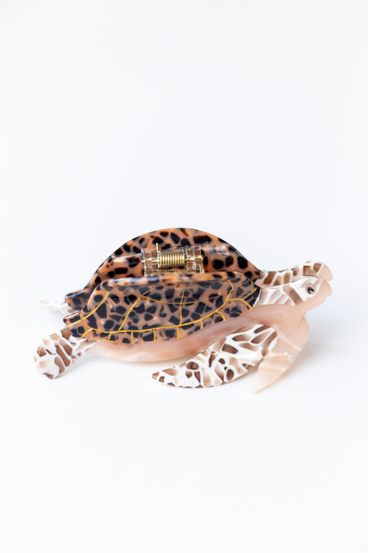 Brown Sea Turtle